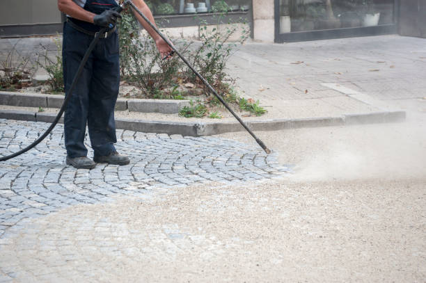 Best Roof Washing  in Brown Station, MD