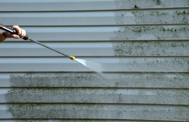 Trusted Brown Station, MD Pressure Washing Services Experts